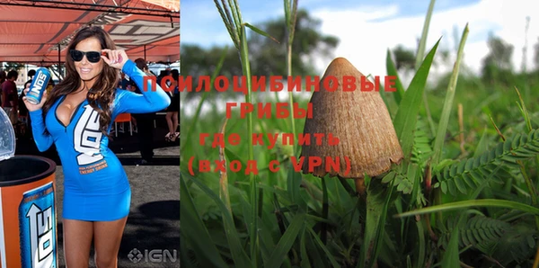 a pvp Каменка