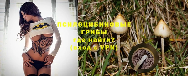 ешки Каменск-Шахтинский