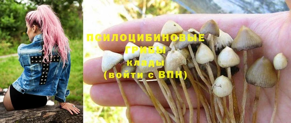 a pvp Каменка