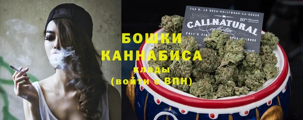 a pvp Каменка