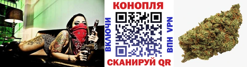Конопля гибрид  Петропавловск-Камчатский 