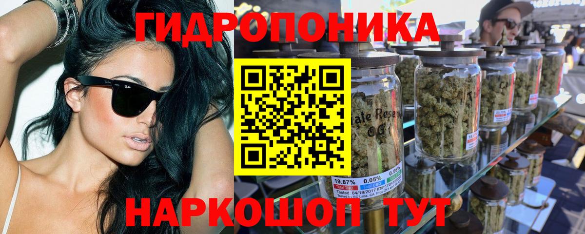 Бошки марихуана планчик  Канабис White Widow  Вход с VPN  Петропавловск-Камчатский  Канабис OG Kush 